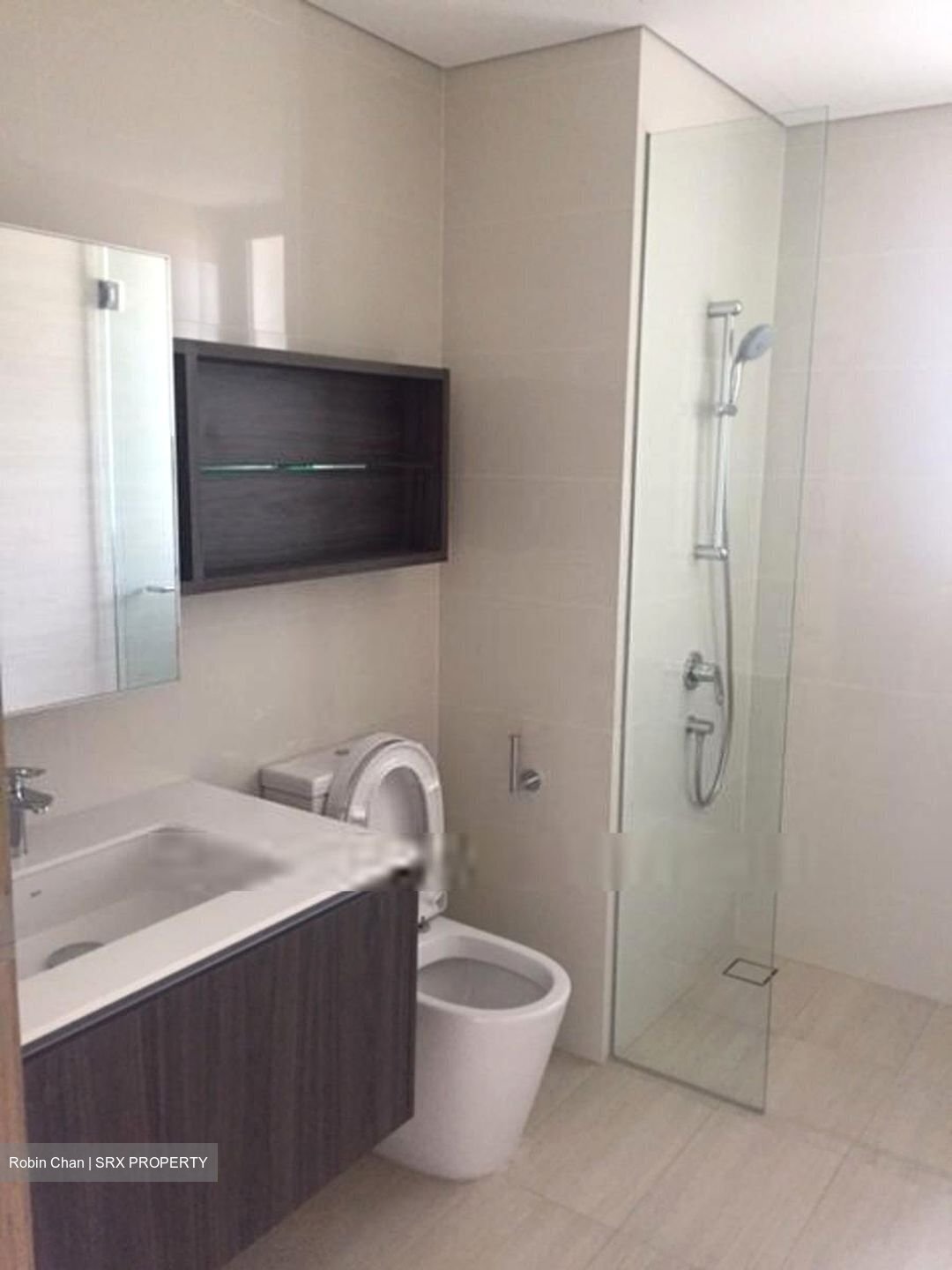 Lakeville (D22), Condominium #456690741